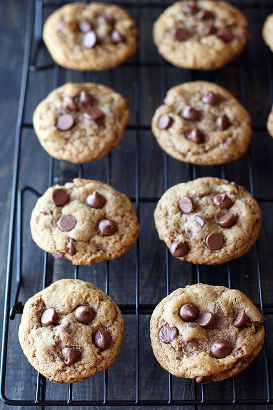 Chocolate Chip Graham Cracker Cookies Handle the Heat