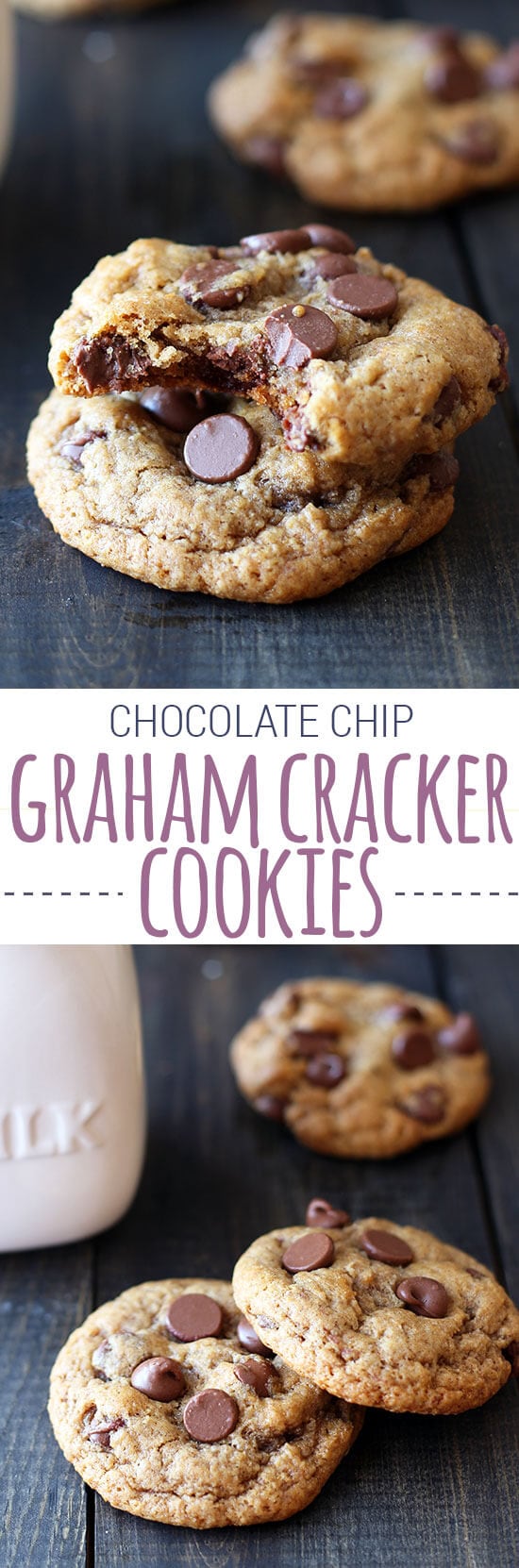 Chocolate Chip Graham Cracker Cookies Handle the Heat