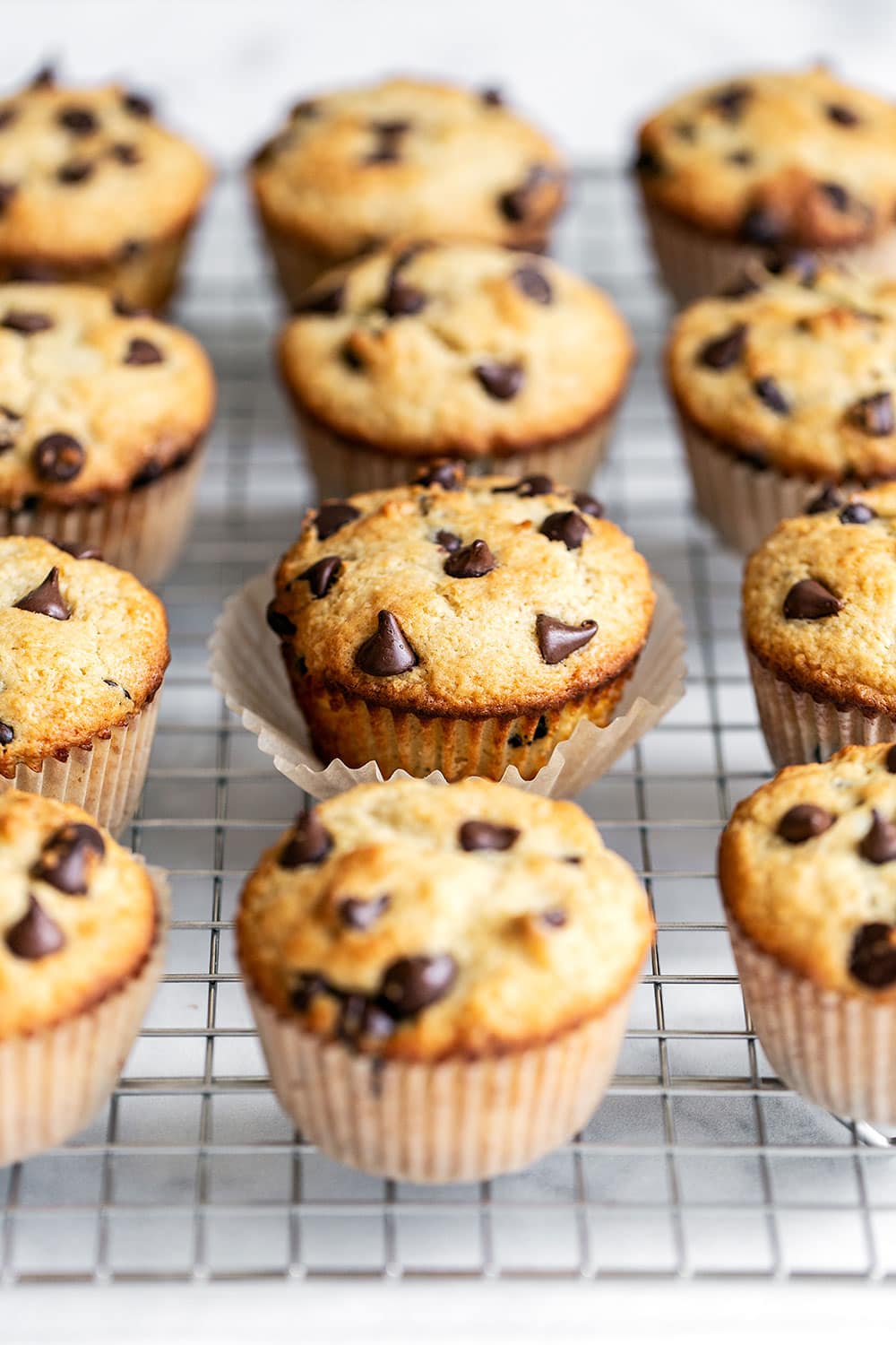 A dozen homemade chocolate chip muffins on a cooling rack