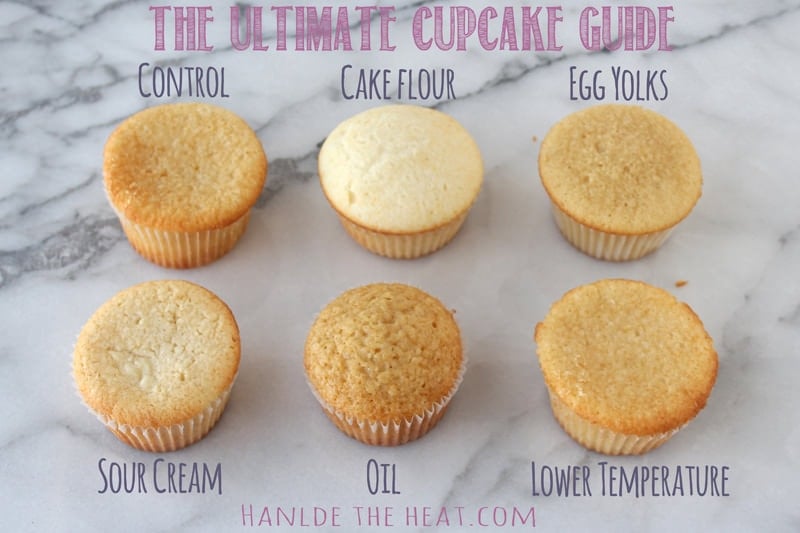 The Ultimate Cupcake Guide Handle The Heat